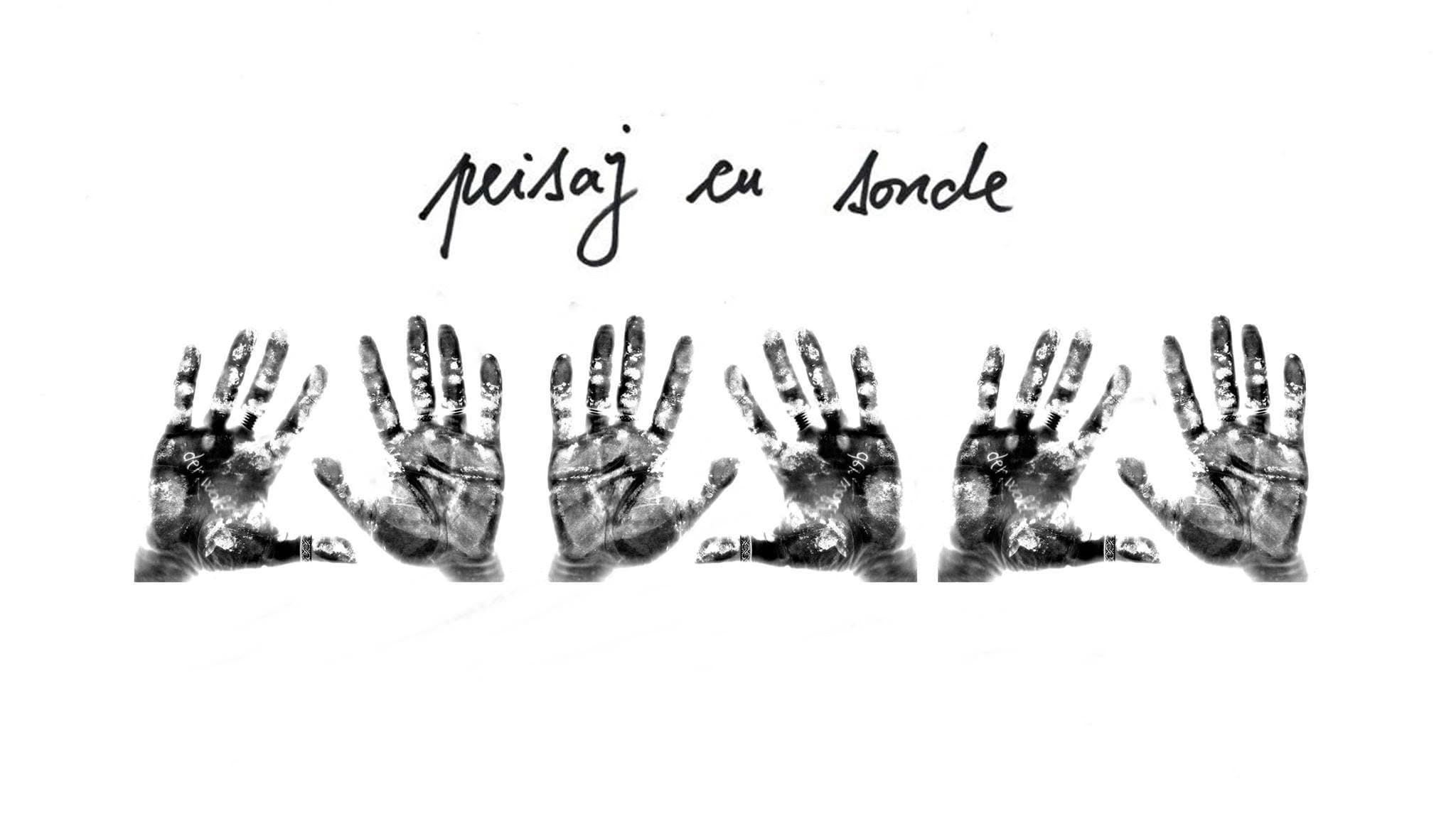 Peisaj cu Sonde