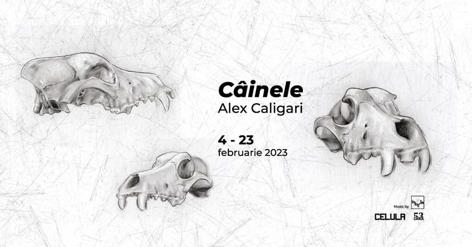 Cainele