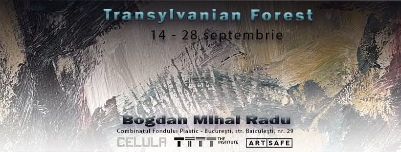 Transylvanian Forest