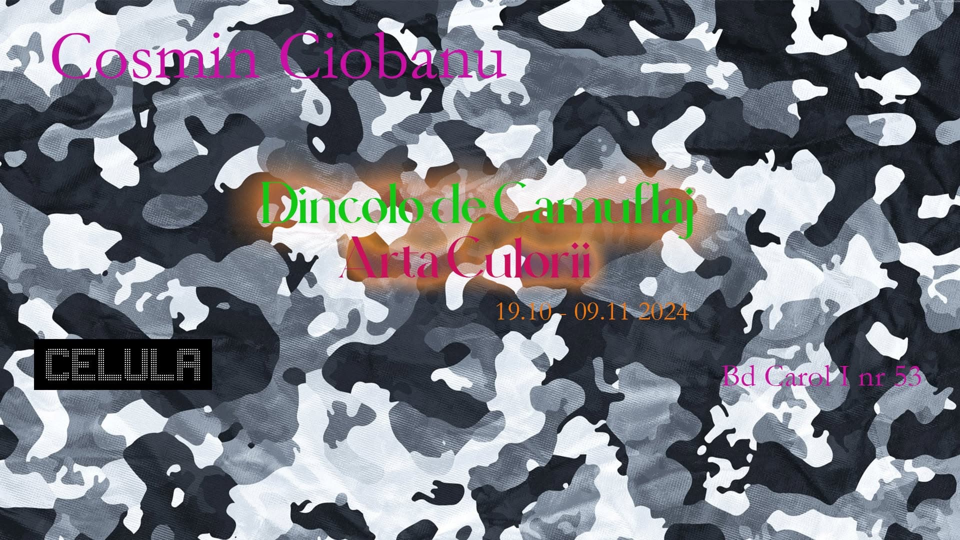 Dincolo de Camuflaj: Arta Culorii