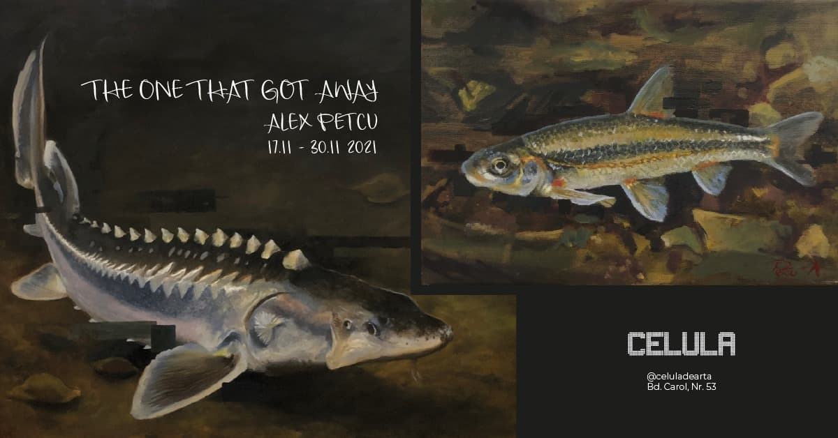 The one that got away