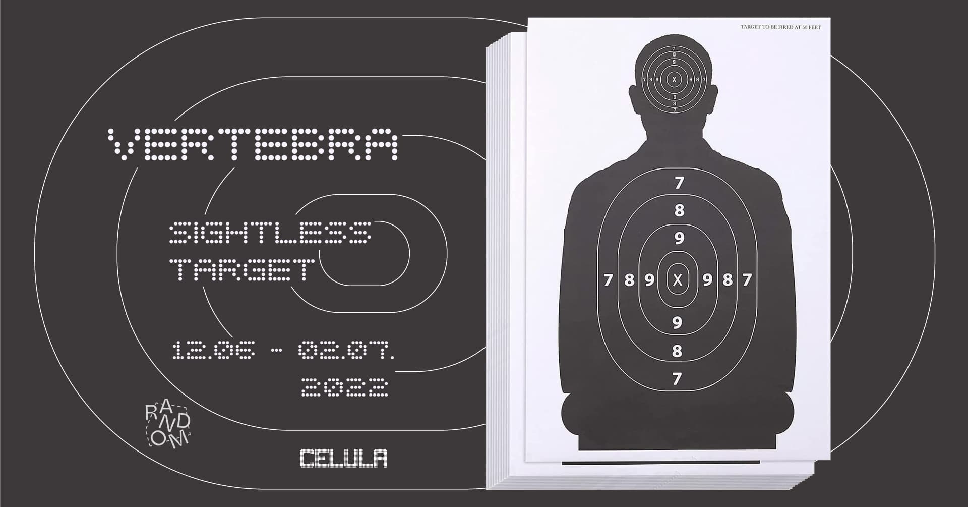 sightless target