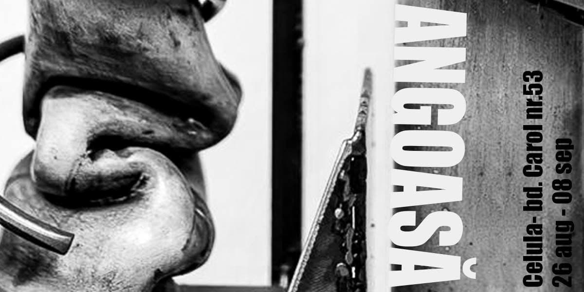 Angoasa