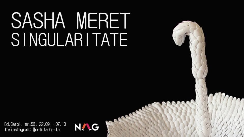 Singularitate - NAG